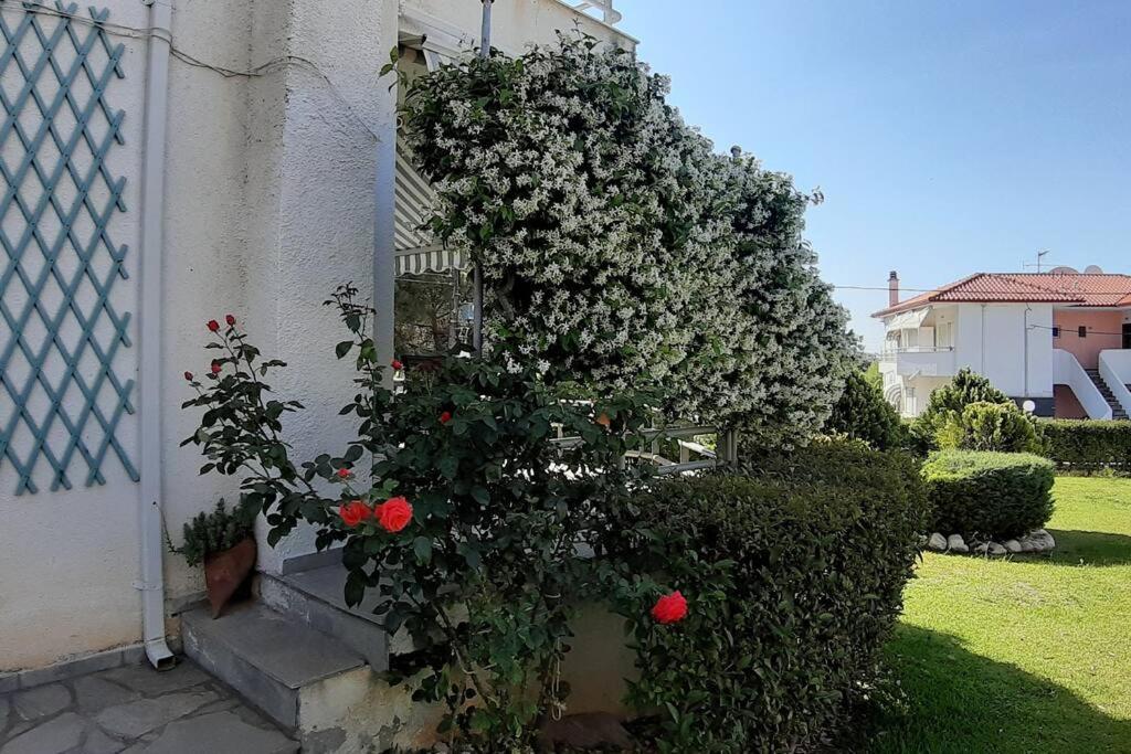 Kleo House Kalives Polygyros Halkidiki Vila Kalyves Polygyrou Exterior foto